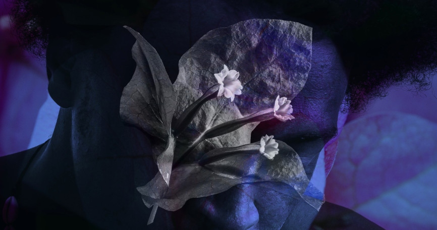 Flowers of the Dead