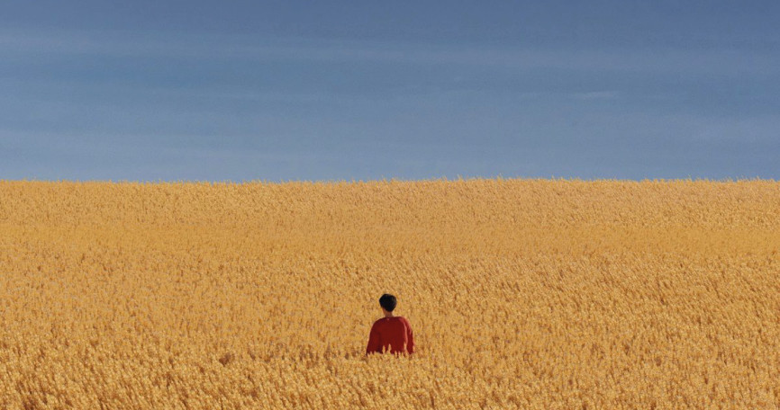 THE FIELD